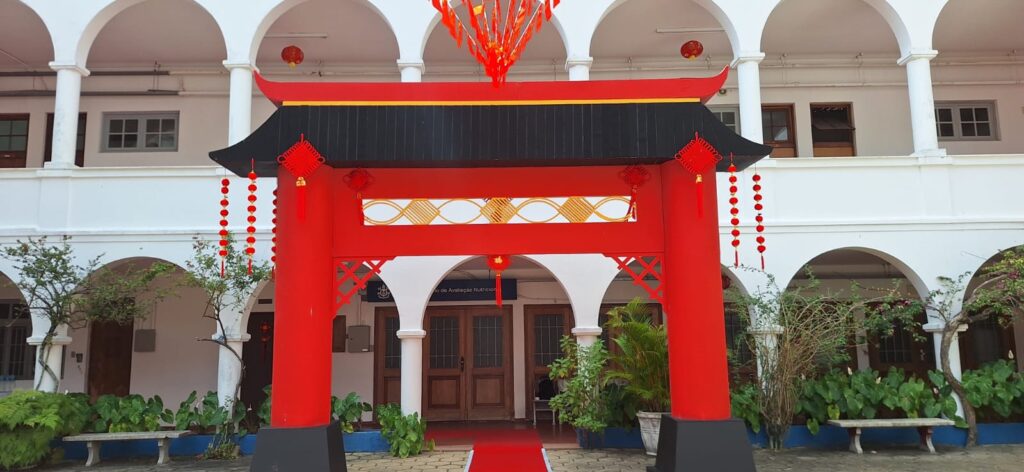 WhatsApp Image 2026-03-29 at 12.37.20 - cópia